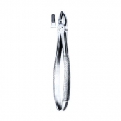 Extracting Forceps English Pattern